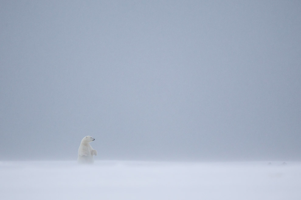 Photos d'ici et d'ailleurs ... enfin, surtout d'ailleurs